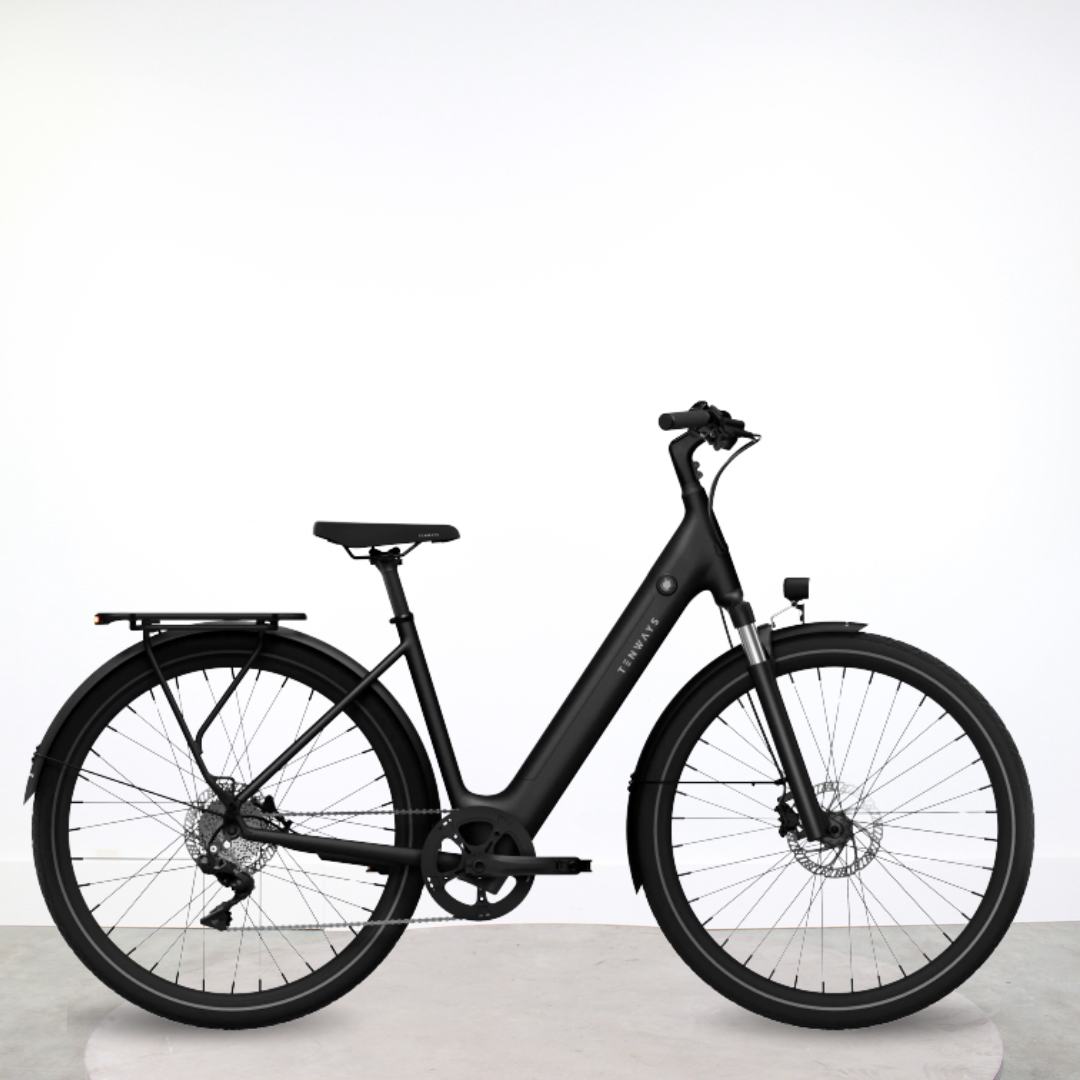 Vélo électrique TENWAYS CGO800S – Noir – Reconditionné